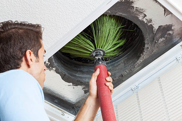 Best Air Duct Sanitizing Services  in , LA